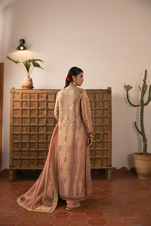 Soft Rose Embroidered Lame Salwar Kameez (3-Piece) - Image 8