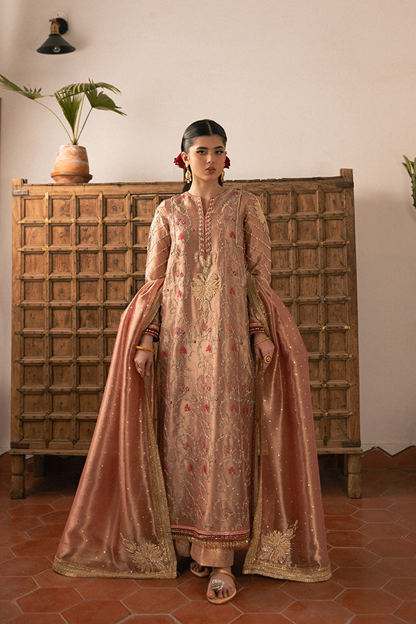 Soft Rose Embroidered Lame Salwar Kameez (3-Piece) - Image 9