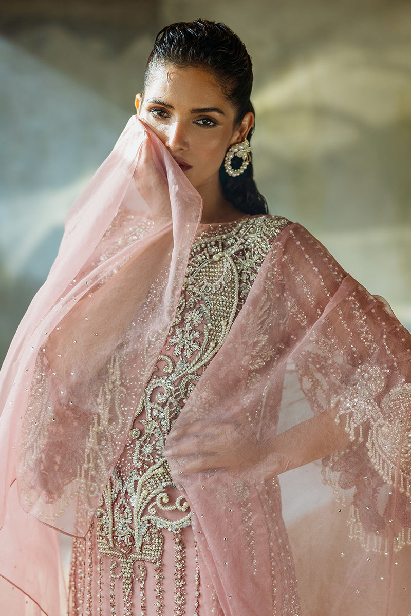 Pakistani Powder Pink Embroidered Net Salwar Kameez (3-Piece) - Image 15