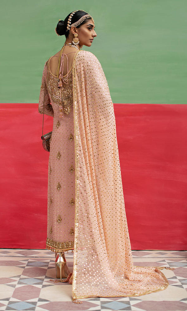 Pastel Pink Gold Handworked Net Salwar Kameez (3-Piece) - Image 4