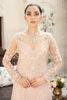 Blush Pink Embroidered Net Salwar Kameez (2-Piece) - Image 3