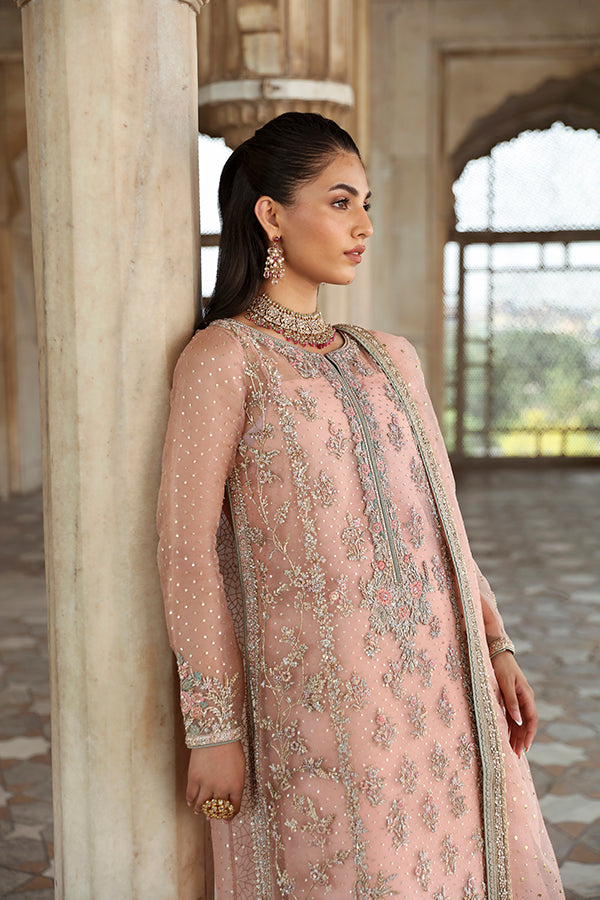 Soft Peachy Pink Gangajamni Net Organza Salwar Kameez (3-Piece) - Image 1