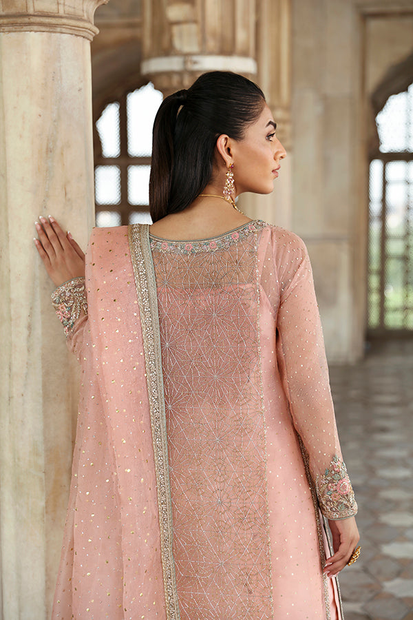 Soft Peachy Pink Gangajamni Net Organza Salwar Kameez (3-Piece) - Image 3