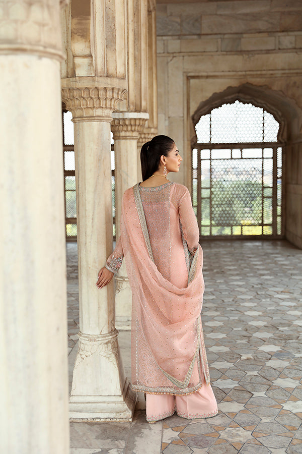 Soft Peachy Pink Gangajamni Net Organza Salwar Kameez (3-Piece) - Image 4