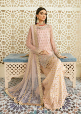 Pakistani Blush Pink Hand-Embellished Net & Organza Kameez (3-Piece) - Image 4