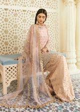 Pakistani Blush Pink Hand-Embellished Net & Organza Kameez (3-Piece) - Image 7