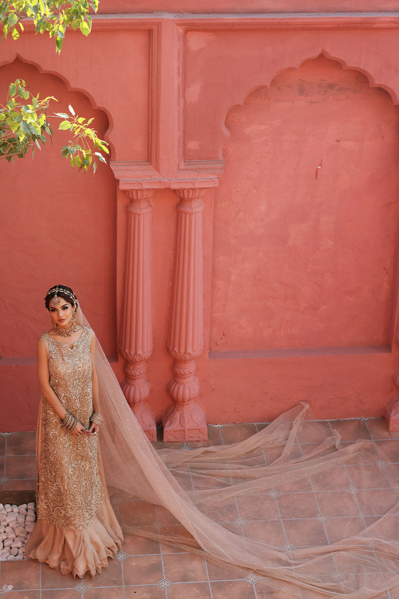 Cameo Rose Embellished Net Long Shirt & Chiffon Skirt (3-Piece) - Image 10