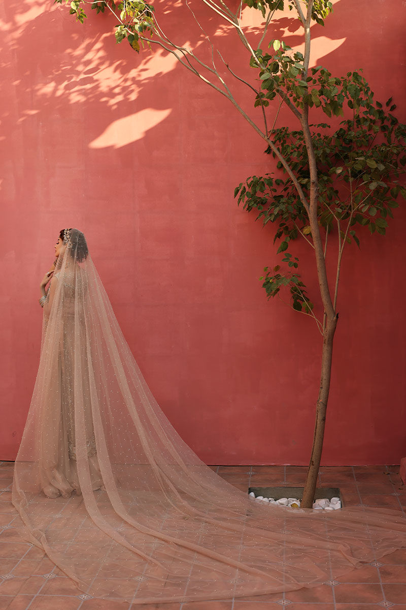 Cameo Rose Embellished Net Long Shirt & Chiffon Skirt (3-Piece) - Image 6