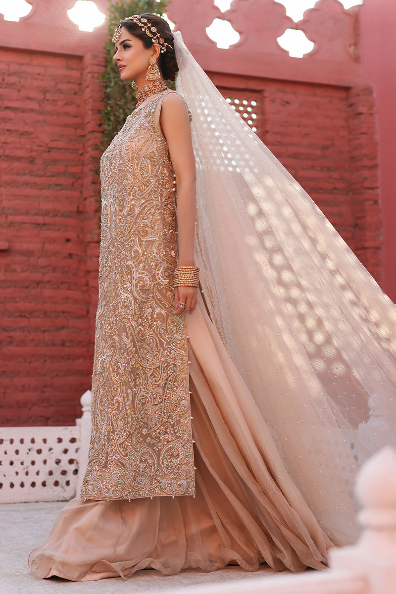 Cameo Rose Embellished Net Long Shirt & Chiffon Skirt (3-Piece) - Image 9