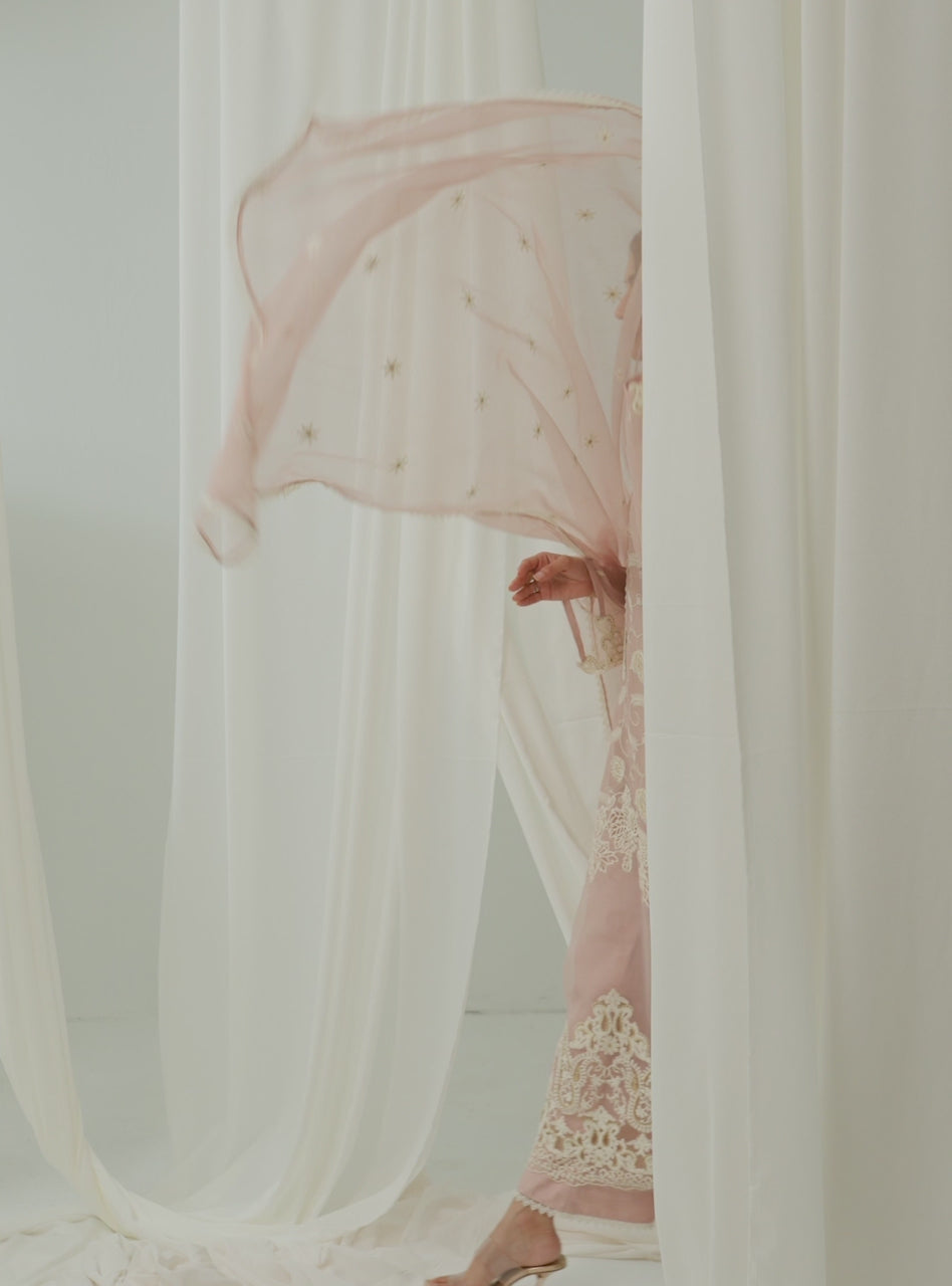 Light Pink Embroidered Net Salwar Kameez (3-Piece) - Image 4