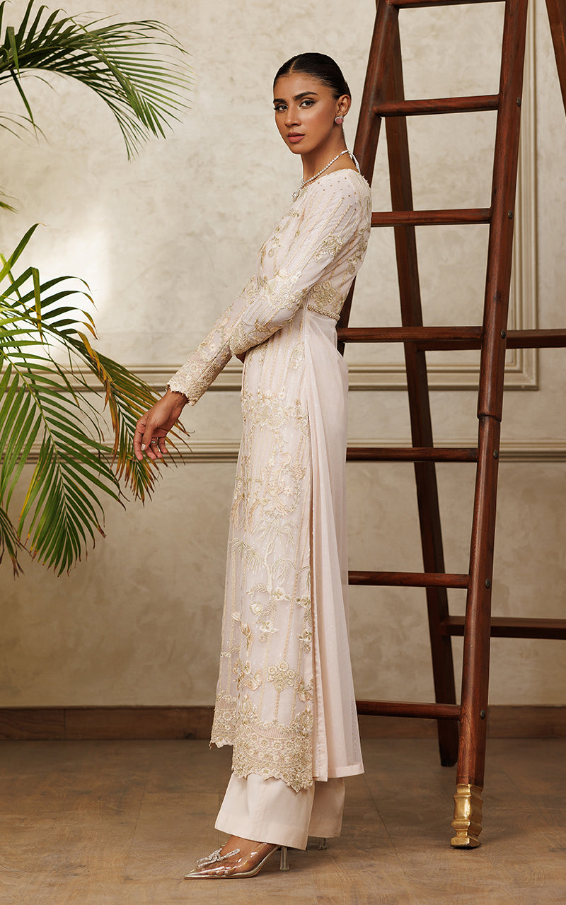 Pakistani Soft Blush Embroidered Net Salwar Kameez (2-Piece) - Image 6