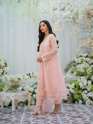 Pakistani Blush Pink Embroidered Organza Salwar Kameez (3-Piece) - Image 3