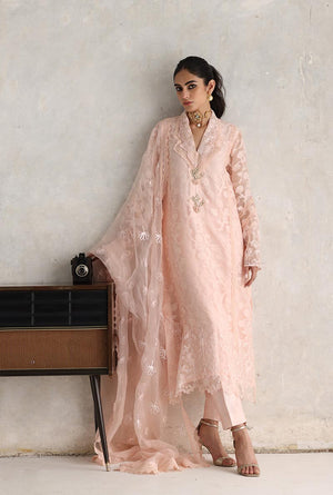 Pakistani Blush Pink 3D Embellished Organza Salwar Kameez (3-Piece) - Image 3