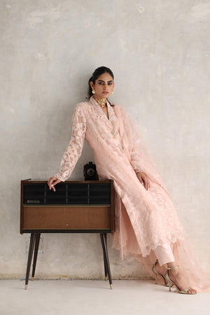 Pakistani Blush Pink 3D Embellished Organza Salwar Kameez (3-Piece) - Image 4