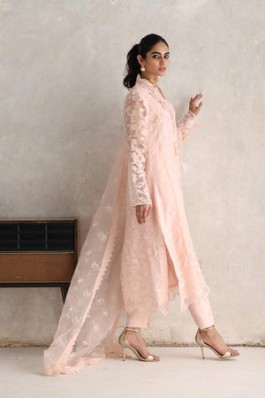 Pakistani Blush Pink 3D Embellished Organza Salwar Kameez (3-Piece) - Image 5