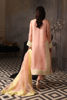 Peach Aari-Embroidered Organza Salwar Kameez (3-Piece) - Image 4