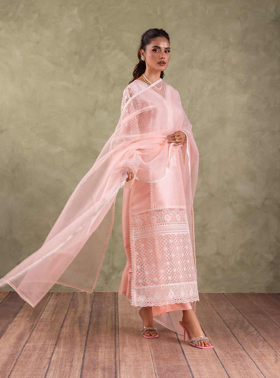 Pakistani Peach Pink Chikankari Organza Kameez (3-Piece) - Image 2