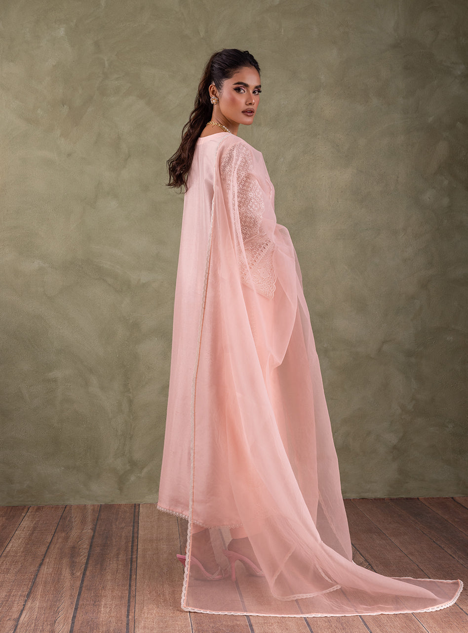 Pakistani Peach Pink Chikankari Organza Kameez (3-Piece) - Image 3