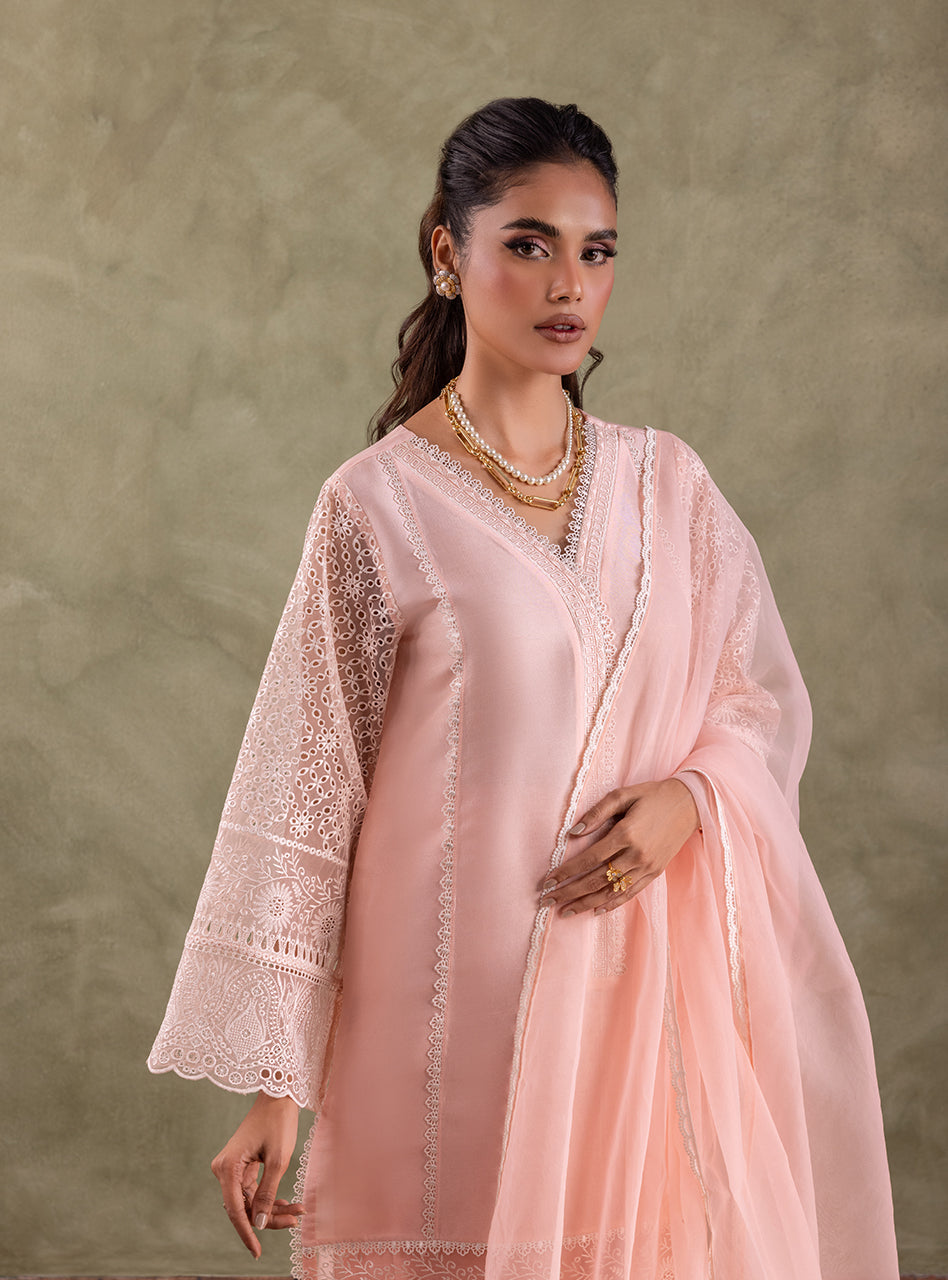 Pakistani Peach Pink Chikankari Organza Kameez (3-Piece) - Image 4