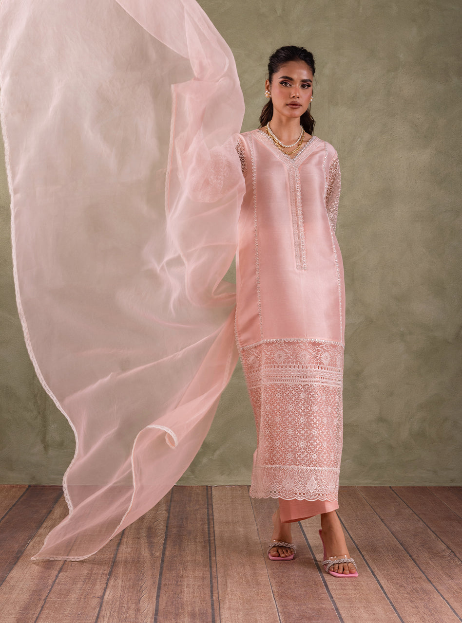 Pakistani Peach Pink Chikankari Organza Kameez (3-Piece) - Image 5