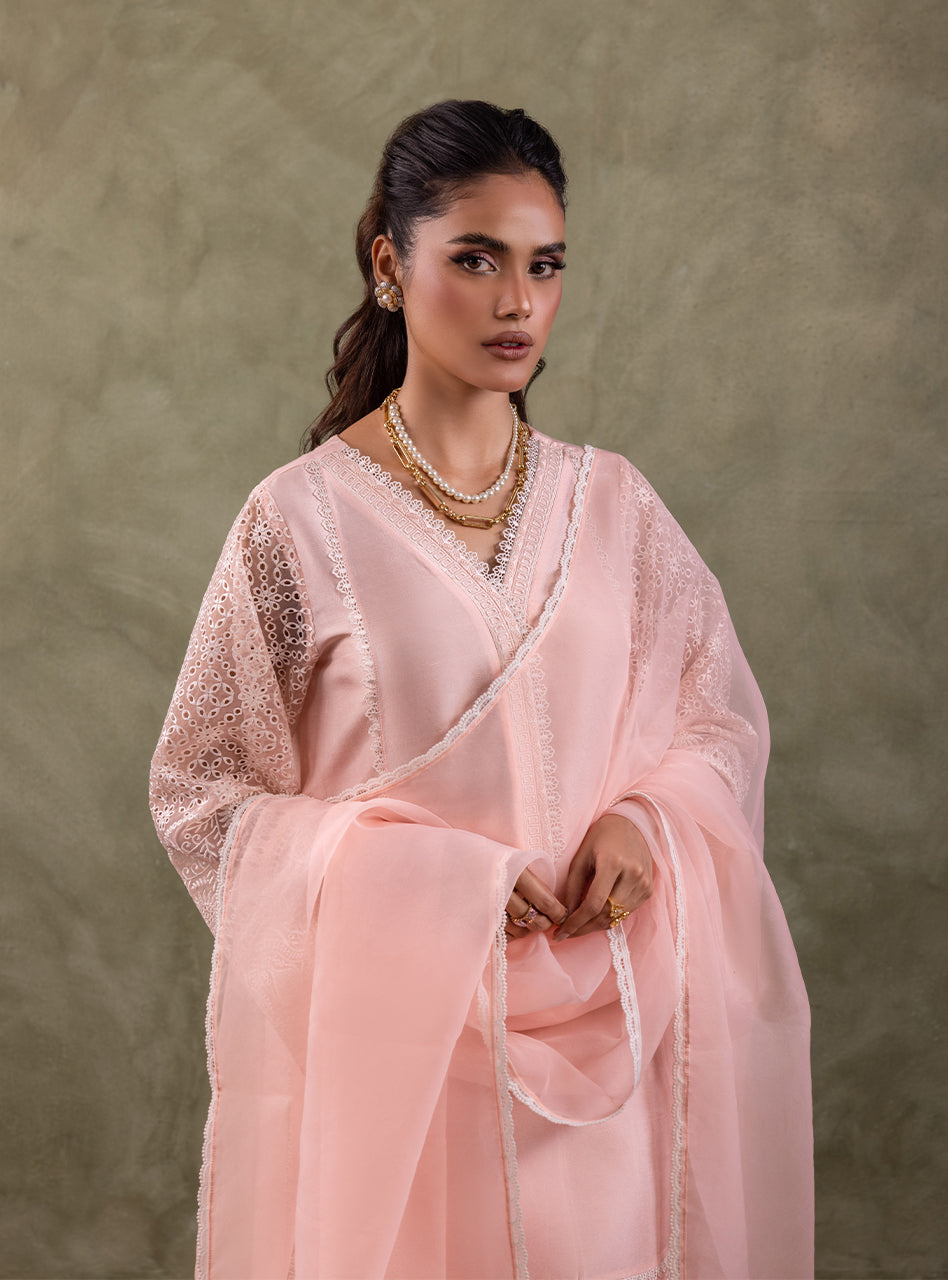 Pakistani Peach Pink Chikankari Organza Kameez (3-Piece) - Image 6