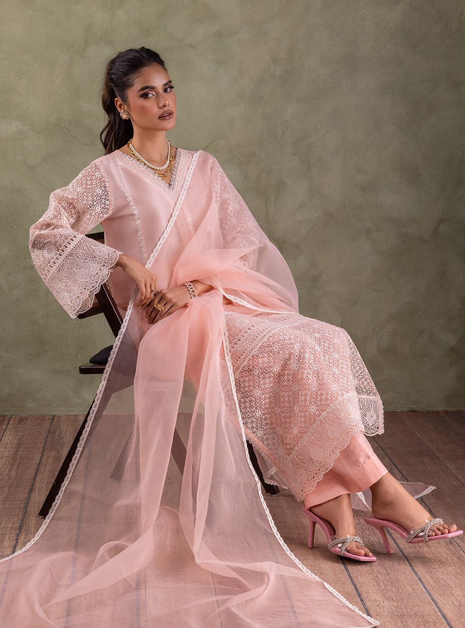 Pakistani Peach Pink Chikankari Organza Kameez (3-Piece) - Image 7