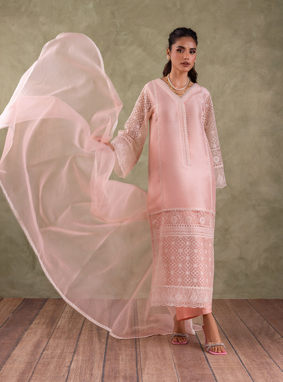 Pakistani Peach Pink Chikankari Organza Kameez (3-Piece) - Image 8