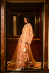 Peach Cutwork Embroidered Organza Salwar Kameez (3-Piece) - Image 5