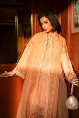 Peach Cutwork Embroidered Organza Salwar Kameez (3-Piece) - Image 6