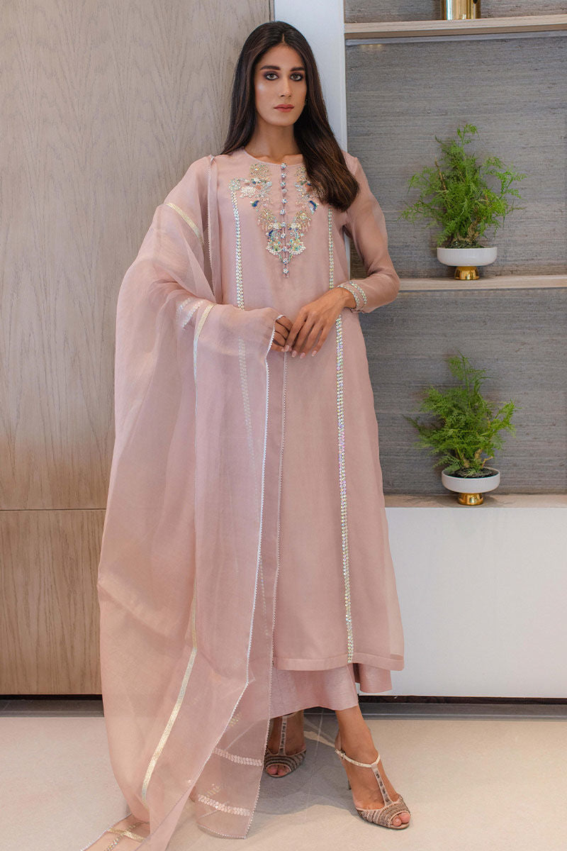 Blush Pink Embroidered Organza Salwar Kameez (3-Piece) - Image 1