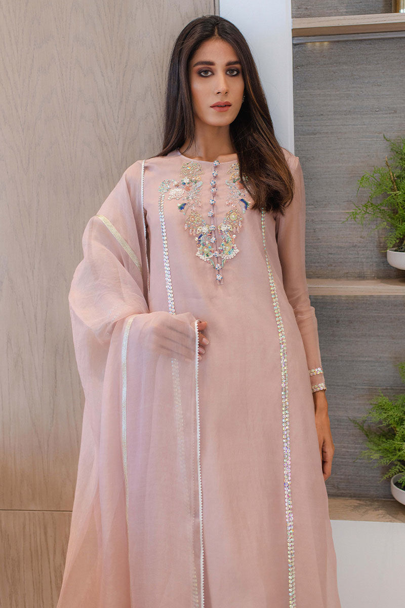 Blush Pink Embroidered Organza Salwar Kameez (3-Piece) - Image 3