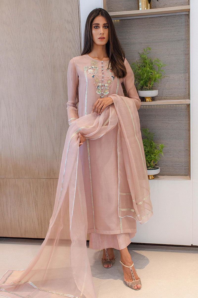 Blush Pink Embroidered Organza Salwar Kameez (3-Piece) - Image 4