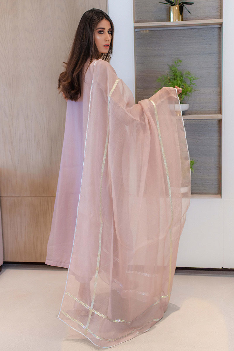 Blush Pink Embroidered Organza Salwar Kameez (3-Piece) - Image 5