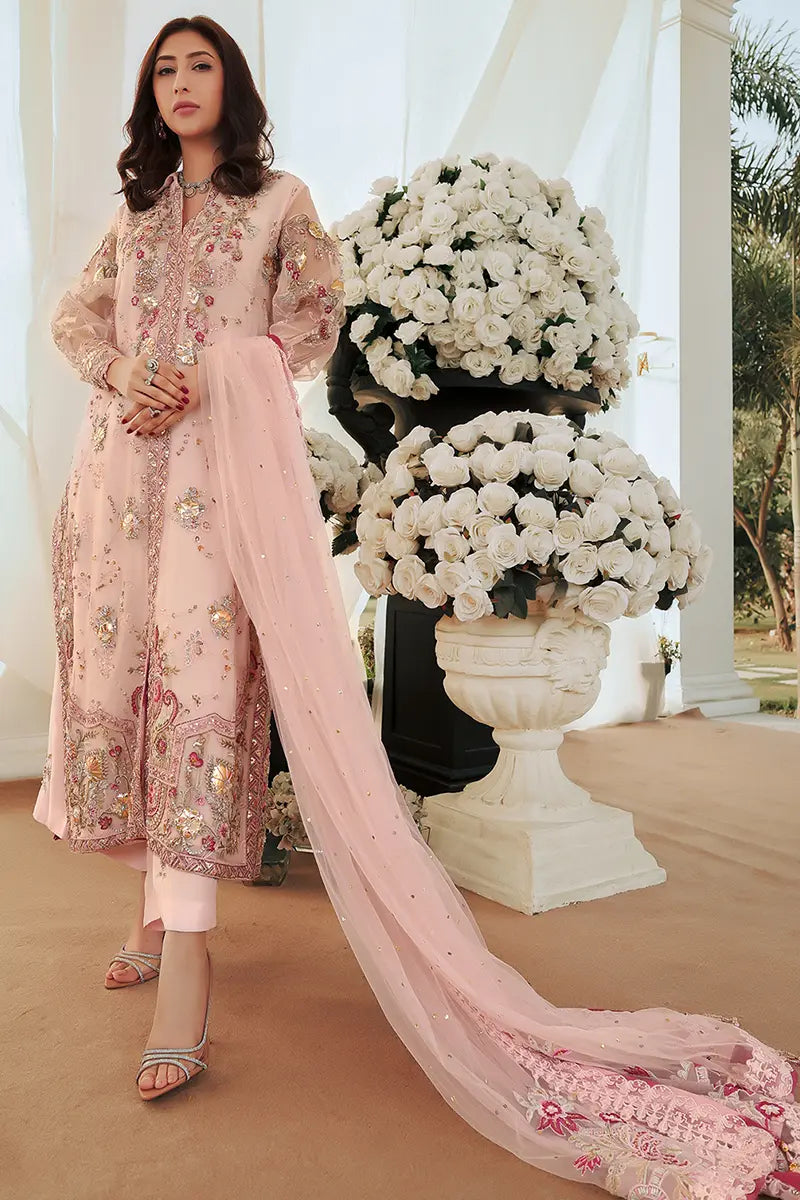 Blush Pink Embroidered Organza Salwar Kameez (3-Piece) - Image 3