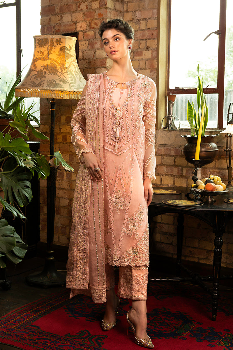 Pakistani Baby Pink Embroidered Organza Salwar Kameez (3-Piece) - Image 3