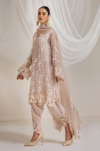 Dusty Rose Self-Embroidered Organza Salwar Kameez (3-Piece) - Image 6