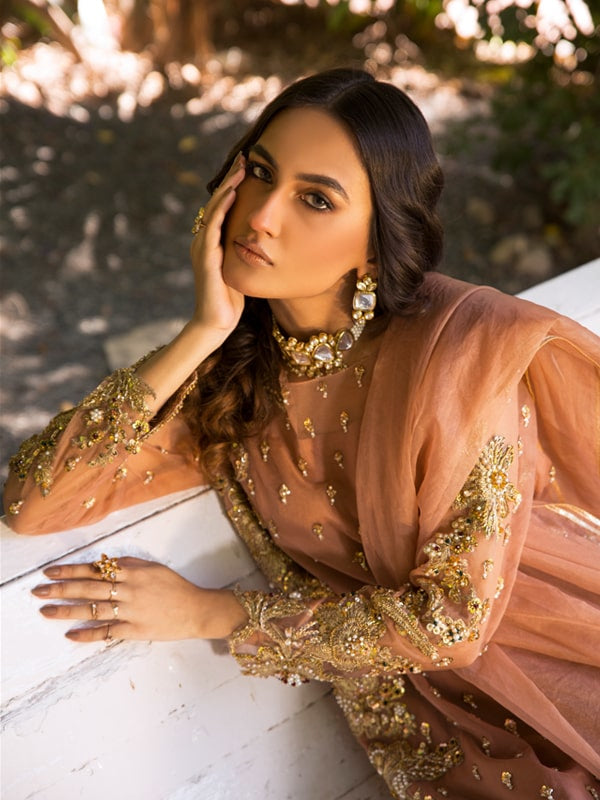 Pakistani Peach Embroidered Organza Salwar Kameez (3-Piece) - Image 3