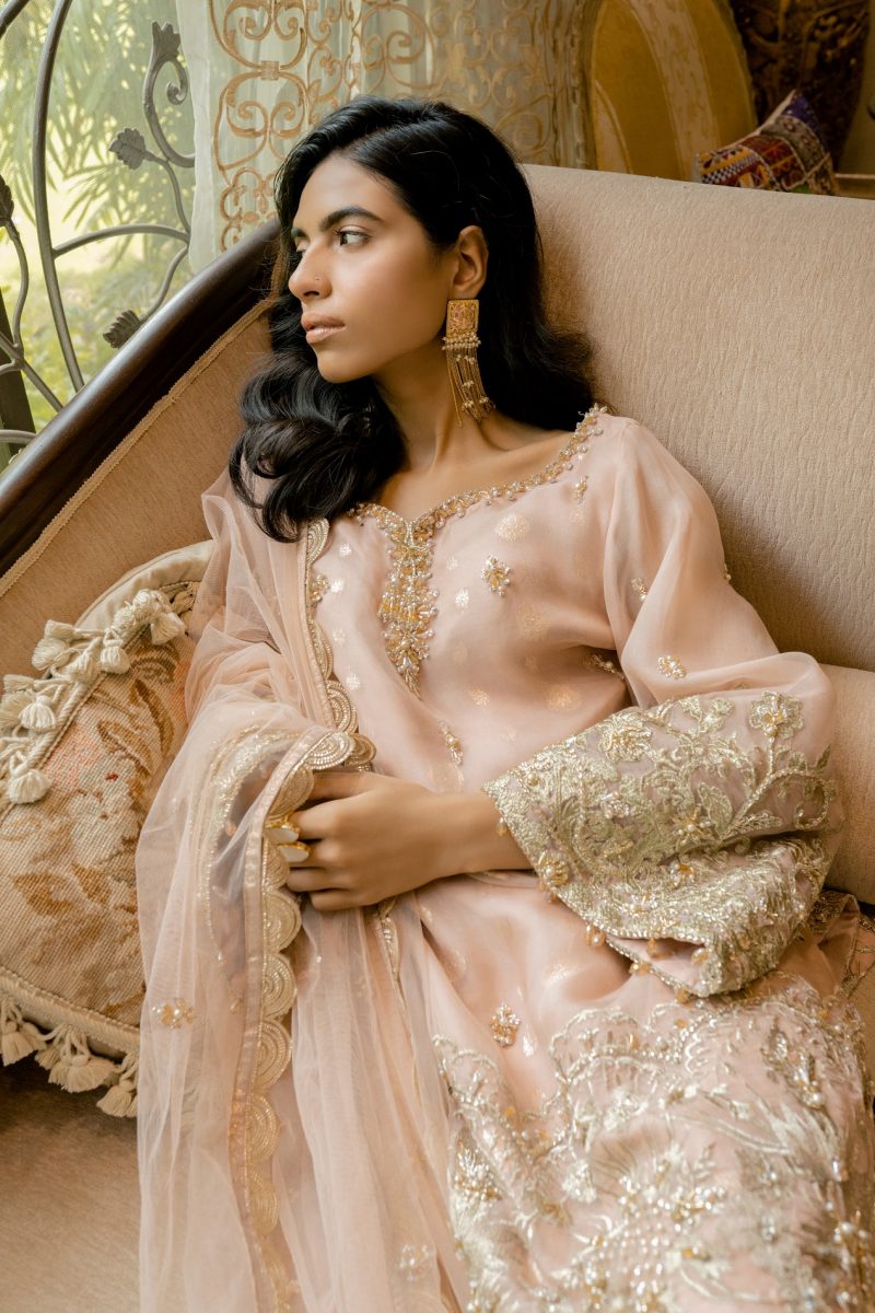 Blush Pink Hand-Embellished Organza Salwar Kameez (3-Piece) - Image 3