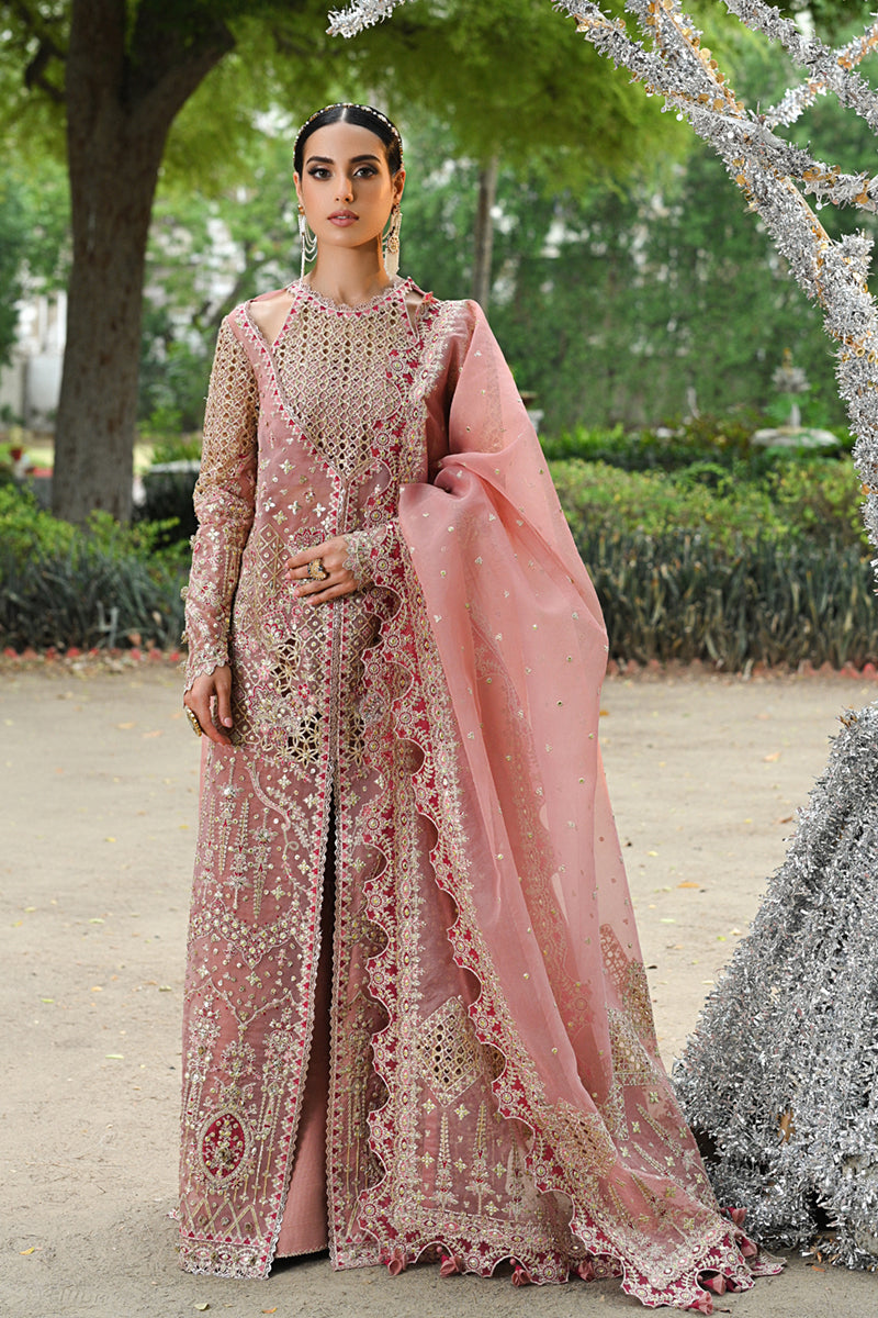 Blush Pink Gotta Embroidered Organza Salwar Kameez (3-Piece) - Image 1