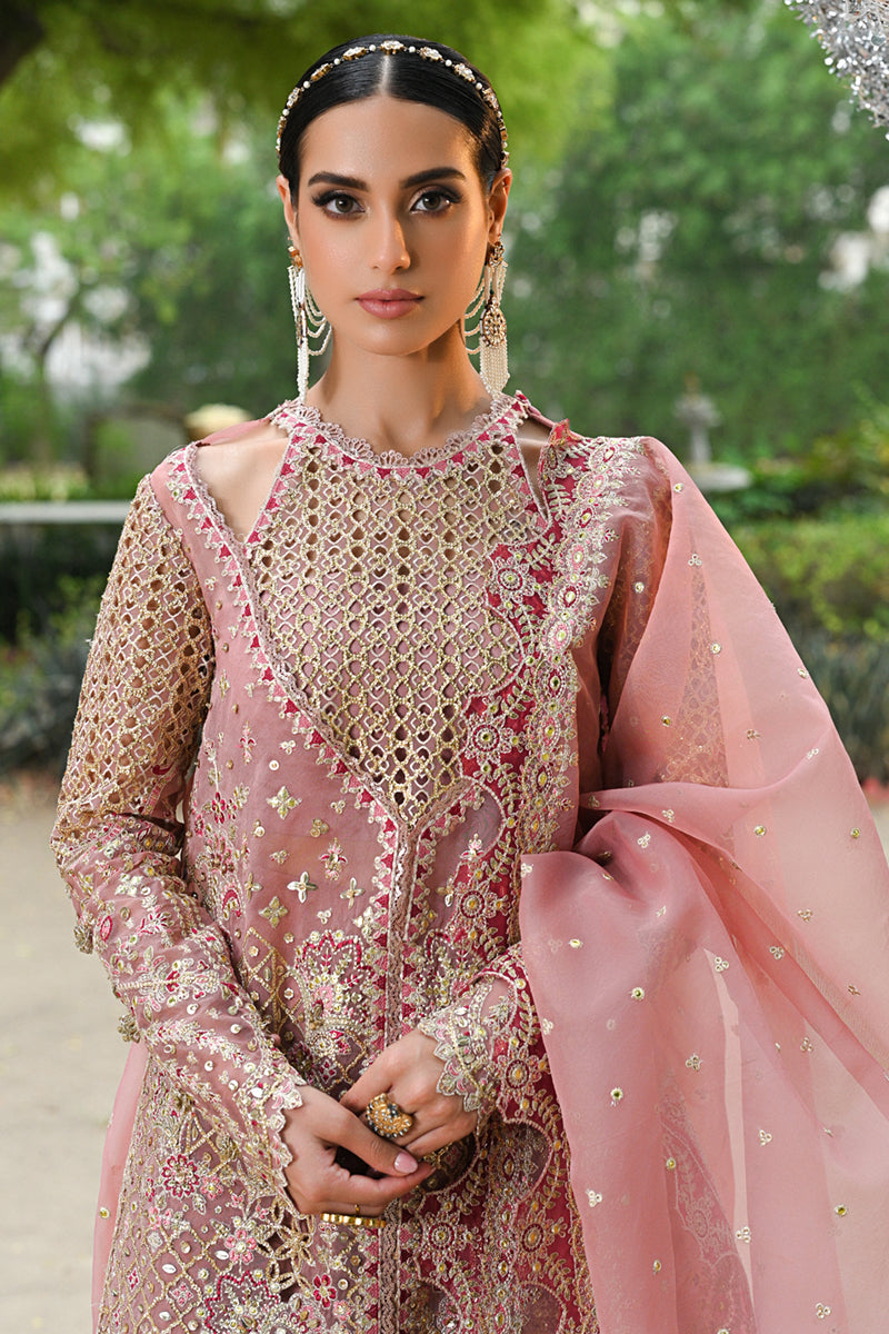 Blush Pink Gotta Embroidered Organza Salwar Kameez (3-Piece) - Image 2