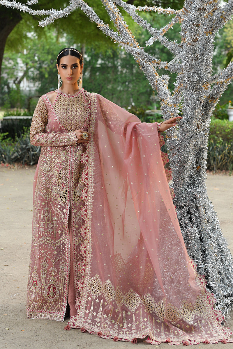 Blush Pink Gotta Embroidered Organza Salwar Kameez (3-Piece) - Image 3