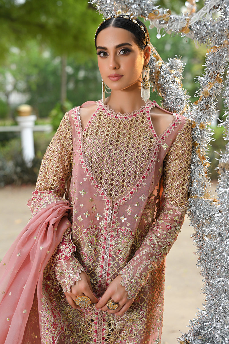 Blush Pink Gotta Embroidered Organza Salwar Kameez (3-Piece) - Image 4