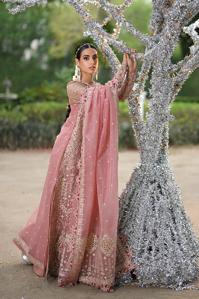 Blush Pink Gotta Embroidered Organza Salwar Kameez (3-Piece) - Image 5