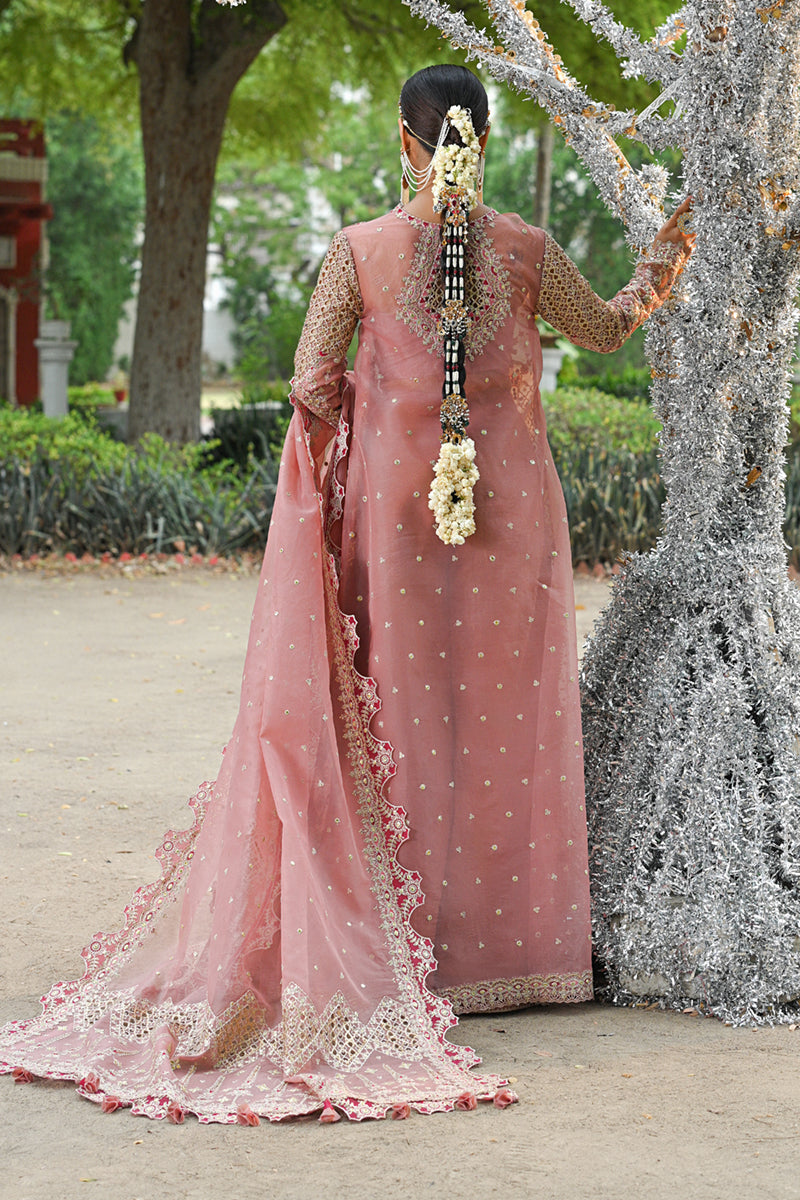 Blush Pink Gotta Embroidered Organza Salwar Kameez (3-Piece) - Image 6
