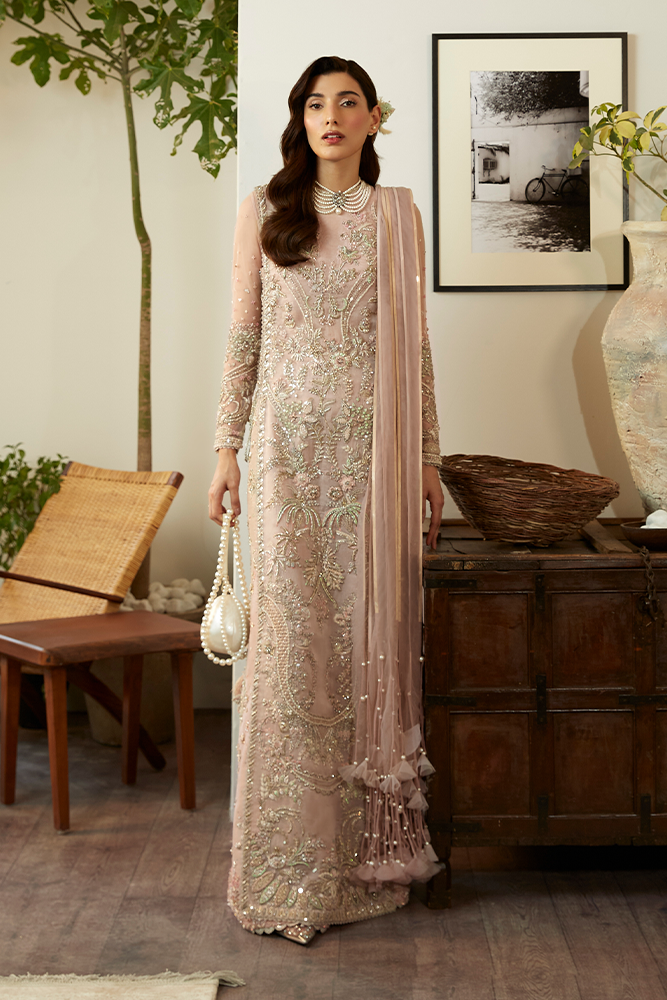 Pakistani Blush Pink Hand-Embroidered Organza Salwar Kameez (3-Piece) - Image 1