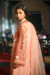 Pakistani Pink Lace Cutwork Organza Salwar Kameez (3-Piece) - Image 3