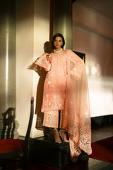 Pakistani Pink Lace Cutwork Organza Salwar Kameez (3-Piece) - Image 5