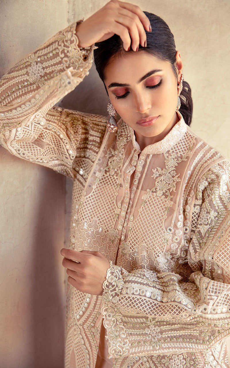 Pastel Embroidered Organza Jacket Salwar Kameez (2-Piece) - Image 3