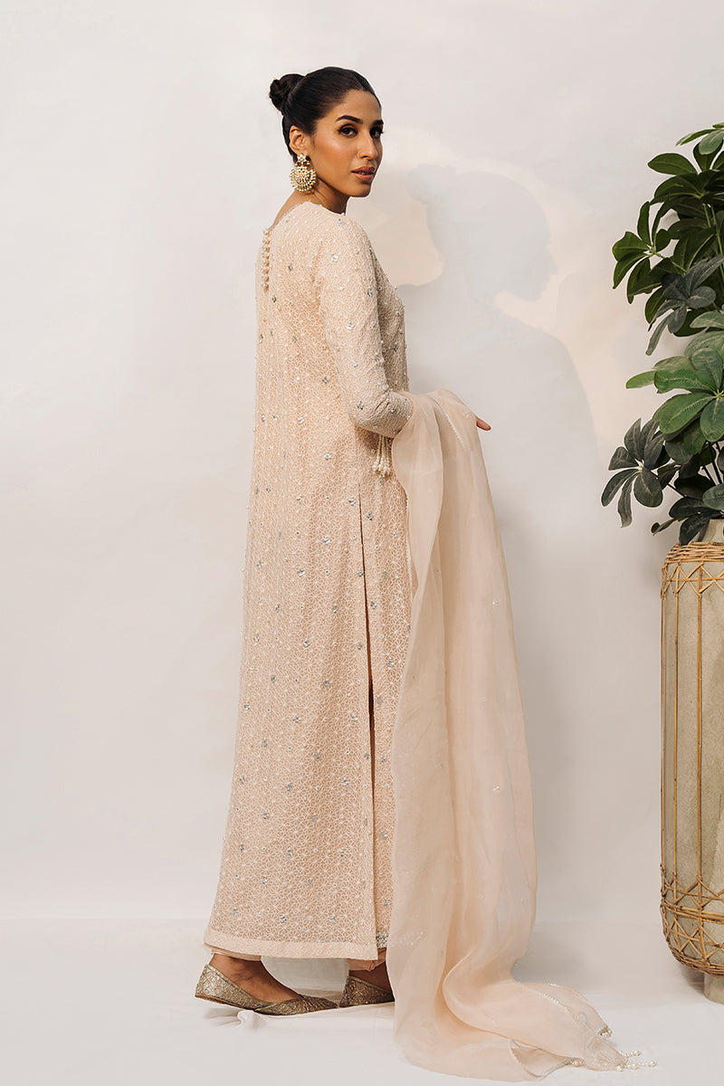 Peachy Pink Embroidered Organza Salwar Kameez (3-Piece) - Image 3