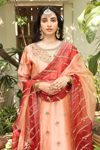 Peach Embroidered Tissue Silk Organza Salwar Kameez (3-Piece) - Image 3